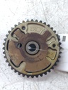 MTD-537806-1
