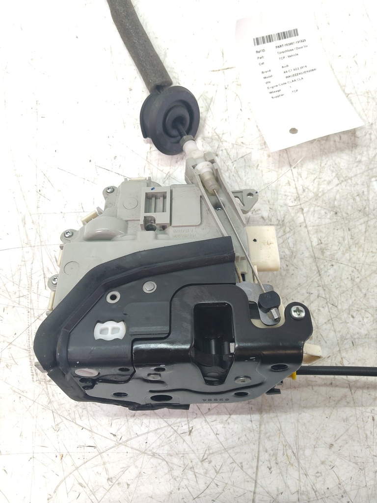 MTD-537775-1