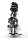 MTD-515485-1