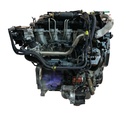 MTD-503998-1