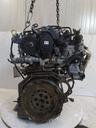 MTD-524631-1