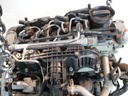 MTD-498696-1