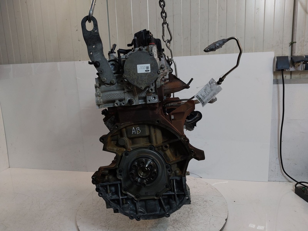 MTD-515576-1