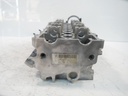 MTD-495017-1