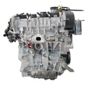 MTD-448081-2