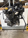 MTD-531320-2