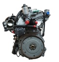 MTD-494615-3