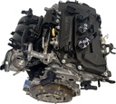 MTD-496904-2
