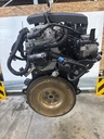 MTD-516984-1