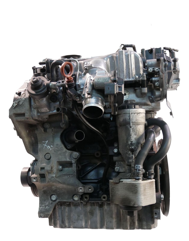 MTD-446755-3