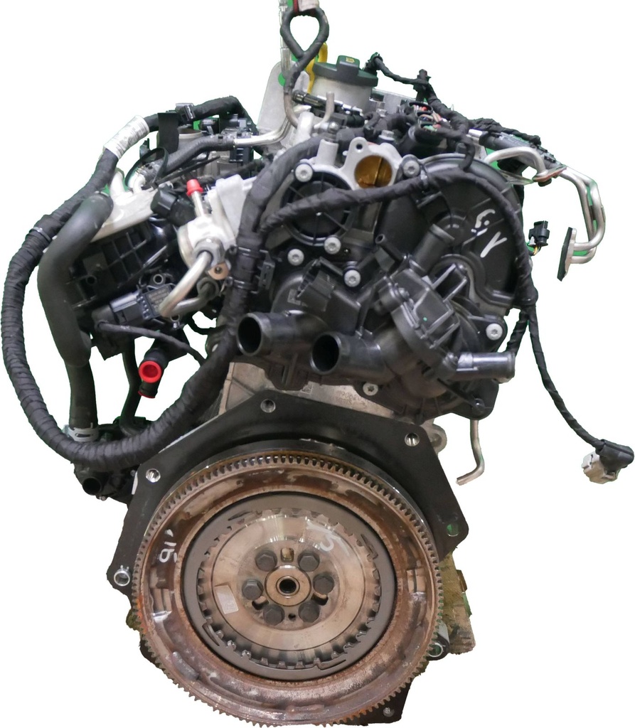 MTD-427983-3