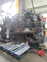 MTD-525556-3