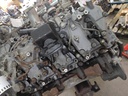 MTD-525556-5