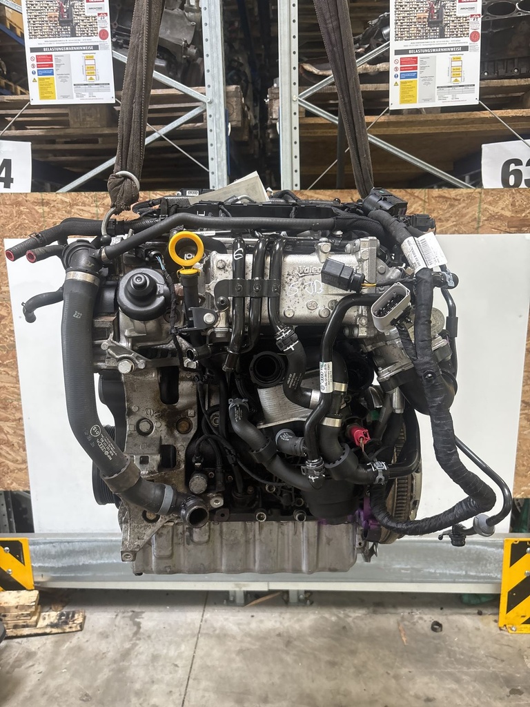 MTD-531319-2
