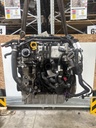 MTD-531319-2