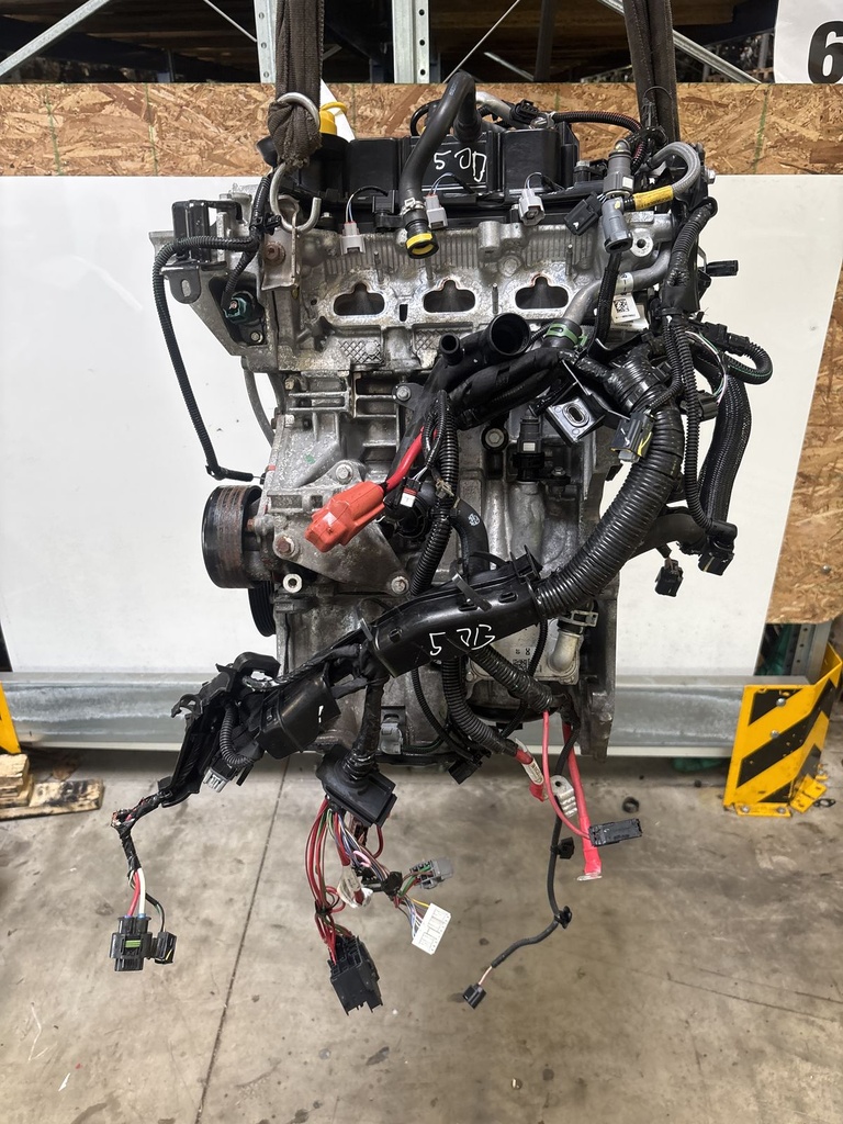 MTD-531318-1