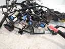 MTD-499206-1