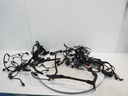 MTD-499206-2