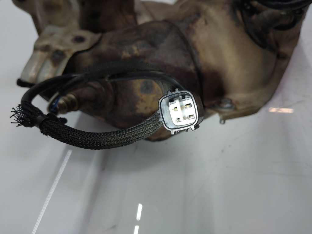 MTD-513744-1