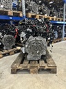 MTD-438395-5