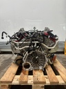 MTD-498254-1