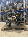 MTD-438381-3