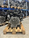 MTD-438384-1