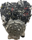 MTD-438224-3
