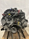 MTD-438248-5