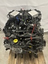 MTD-438248-6