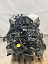 MTD-438249-5