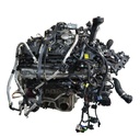 MTD-489195-4