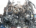MTD-491481-1