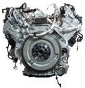 MTD-491640-1