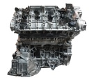 MTD-488117-3
