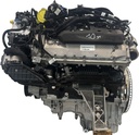 MTD-494207-3