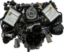 MTD-494217-1