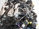 MTD-499189-1