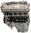 MTD-494335-2