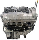 MTD-494335-3