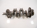 MTD-446326-1