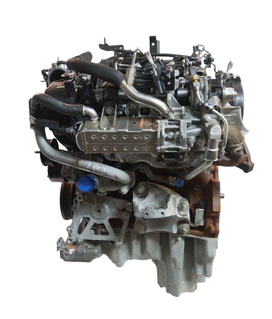 MTD-484173-1