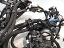 MTD-499248-1