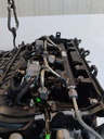 MTD-519204-1