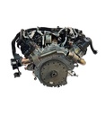 MTD-419247-2
