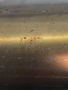 MTD-505672-3