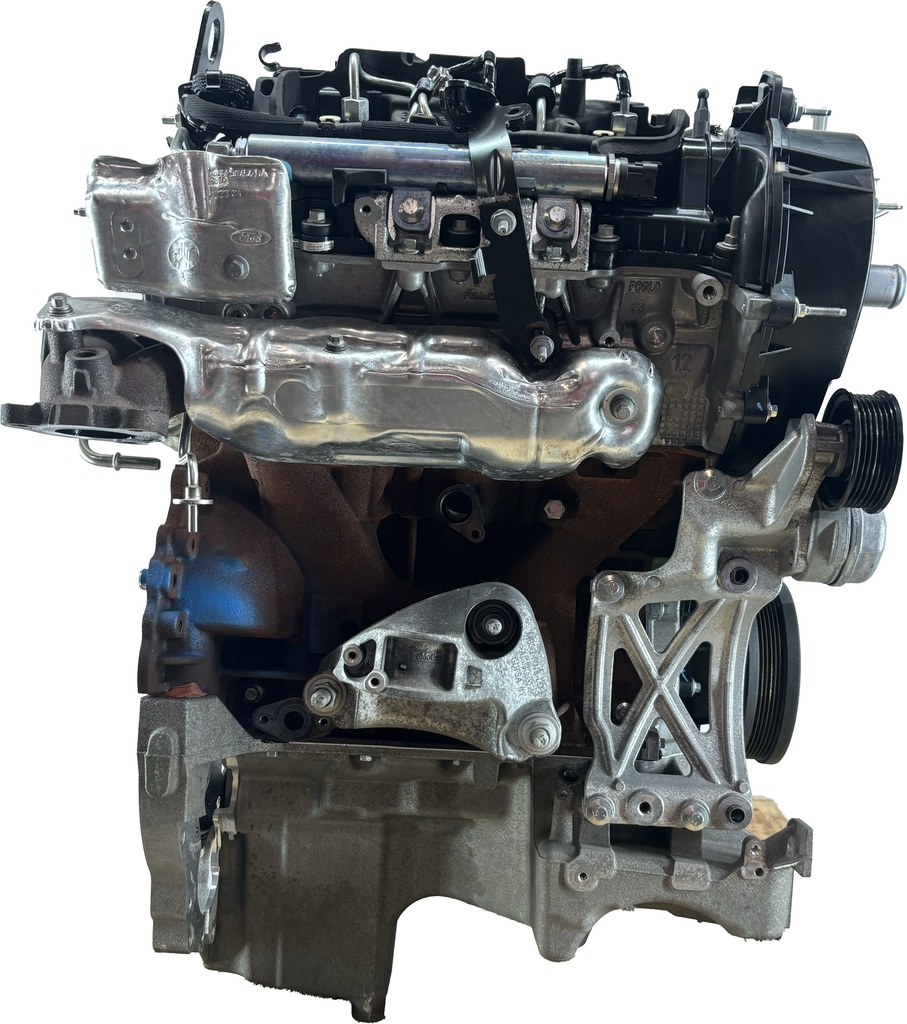 MTD-445491-1