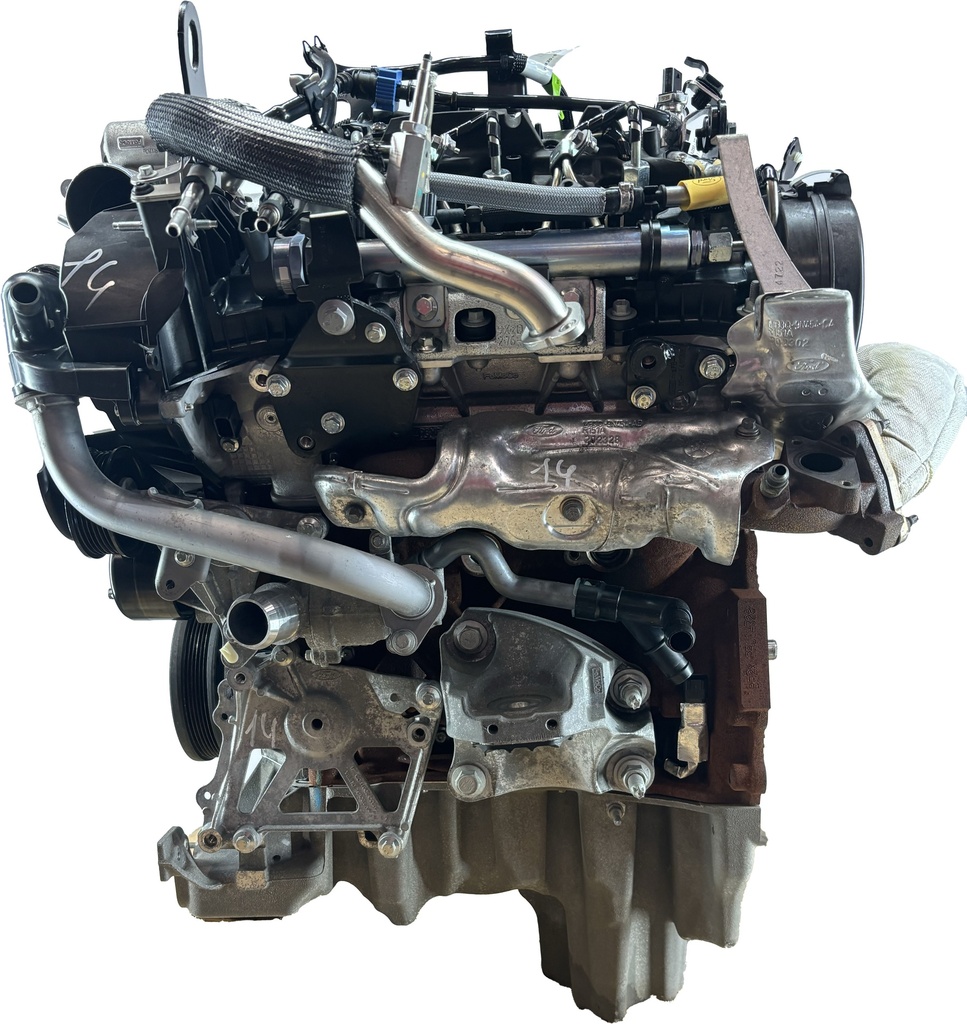 MTD-445491-3