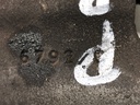 STARK-473798-4