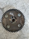 MTD-538246-1